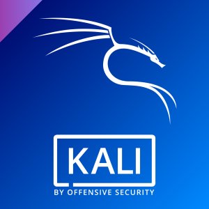 Penetration testing with Kali Linux (III): skipfish, sqlmap and John the Ripper