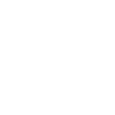 rs1 logo