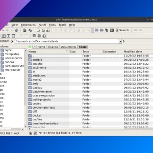 Xfe: a lightweight file manager