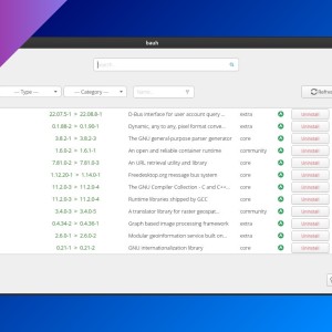 bauh: lightweight package manager compatible with Snap and Flatpak