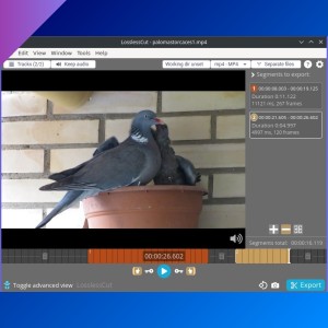 LosslessCut: lossless video/audio editing