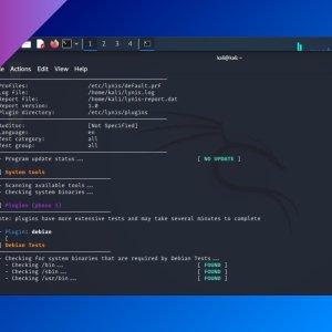Lynis: a security auditing tool