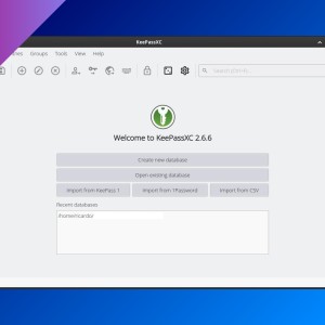 Password managers