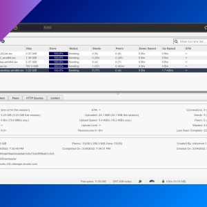 How to create a torrent server