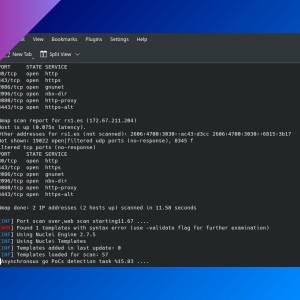 scan4all: a new vulnerability scanner