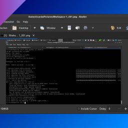 Screen recorders and screenshot utilities for Linux