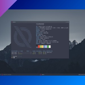 Venom Linux: source-based distro for experienced users